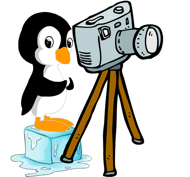 Penguin_w_camera.png